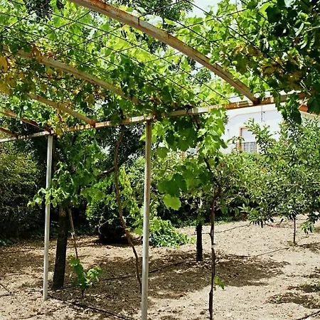 Casa Rosales Villa *