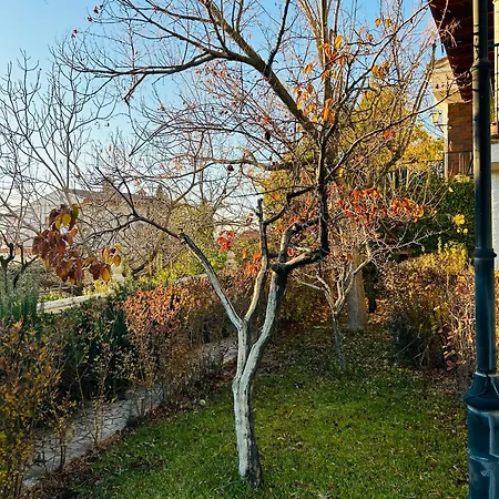 Villa Casa Rosales